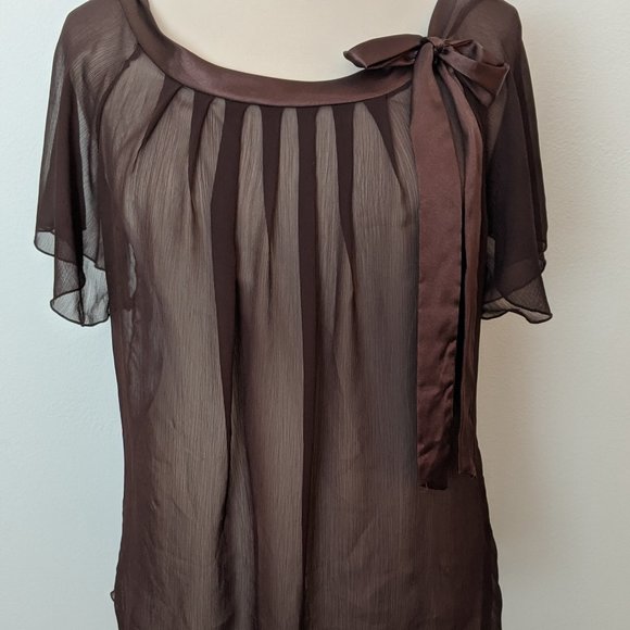 Tops - Sheer Beauty! Brown Blouse with Bow Detail